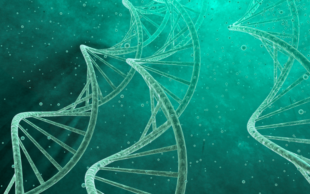 Epigenetik – deine große Chance