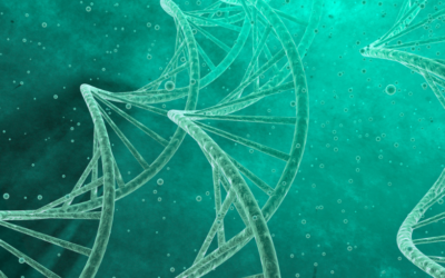 Epigenetik – deine große Chance